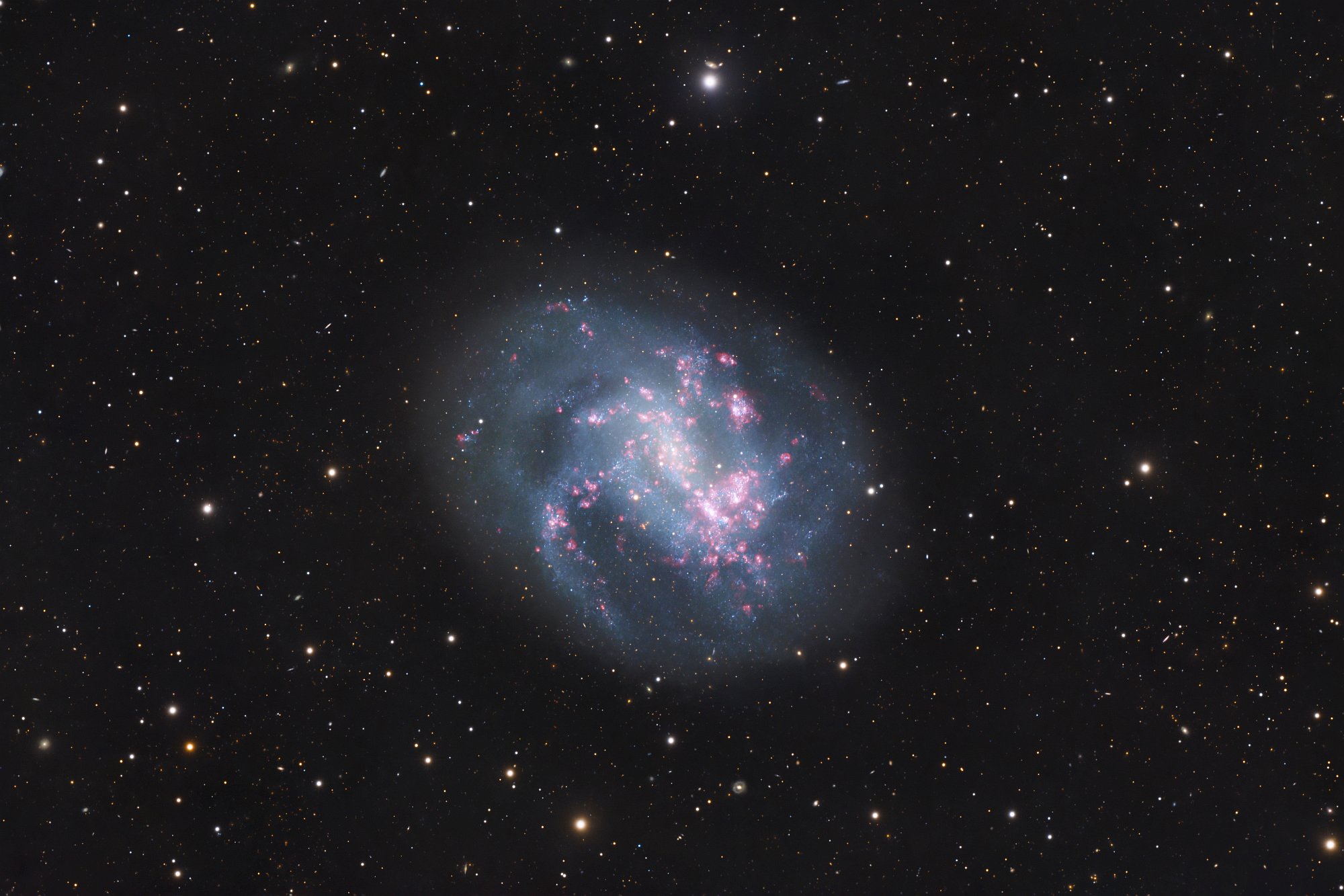 NGC 4395 – eine lichtschwache Spiralgalaxie voller H-Alpha Regionen